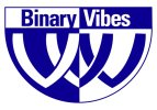 Binary Vibes BizSense