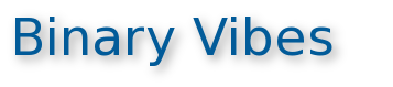 Binary Vibes Information Technologies Pvt. Ltd.